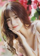 对象包罗5家中国实